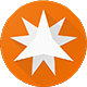 Local Guide Google niveau 9